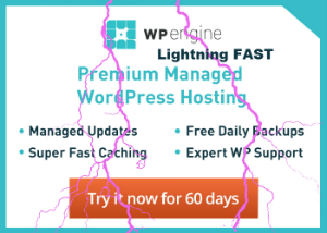 Lightning Fast WordPress Hosting