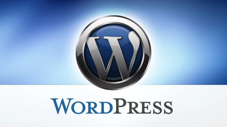 Wordpress-Blogging for Money