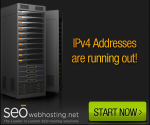 professional seo web hosting services