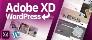 Adobe XD to WordPress Conversions