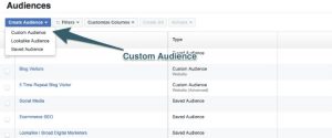Facebook Custom Audience