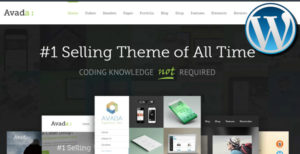 Best WordPress Theme Business - Social Media