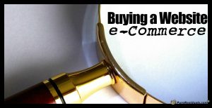Buying an E-Commerce Website Social Media