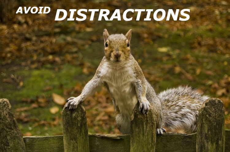 Content Marketing Distractions