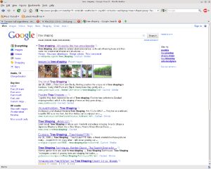 Google-Search-Results-and-SEO