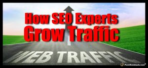 How SEO Experts Grow Traffic - featured