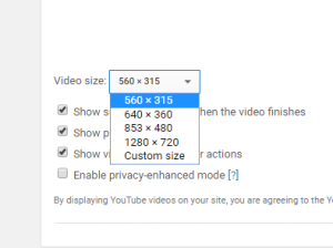 YouTube Video Sizes Selection