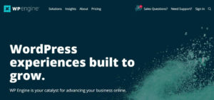 Beginner Affiliate Marketing Platform - WordPress