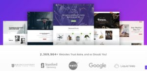 Top 10 Best WordPress Themes for Business - Astra