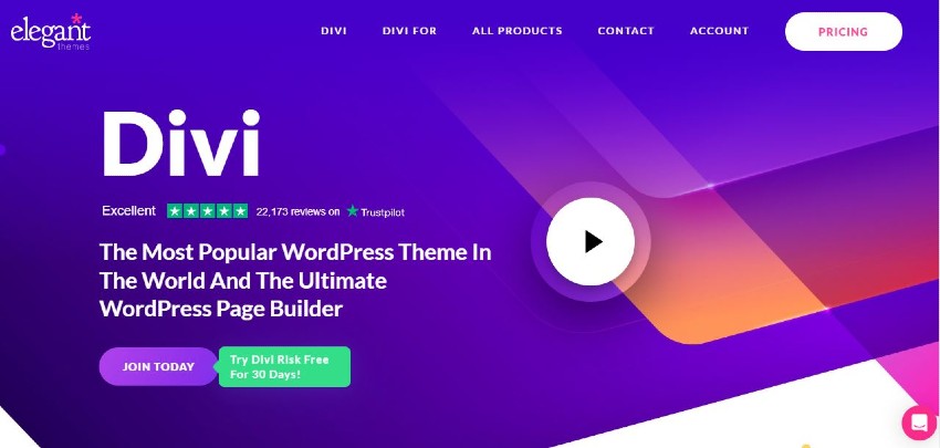 Top 10 Best WordPress Themes for Business - Divi