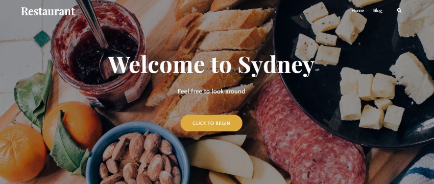 Top 10 Best WordPress Themes for Business - Sydney
