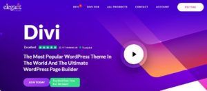 Top 10 Best WordPress Themes for Business