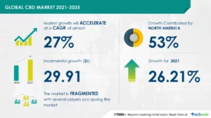 Top CBD Affiliate Programs - 2023 statistics