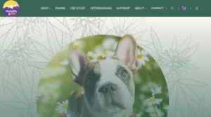 Top CBD Affiliate Programs - HempMyPet