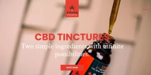 Top CBD Affiliate Programs - Seven Points