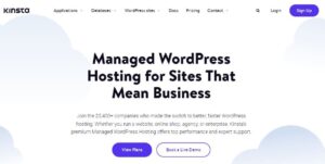 Top Technology Affiliate Programs - Kinsta