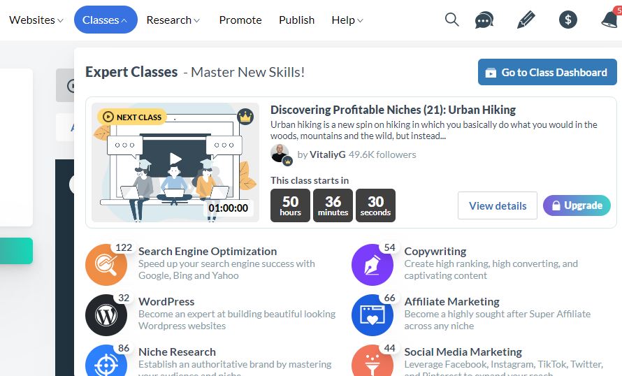 Wealthy Affiliate Expert Classes