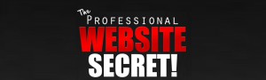 the professional website secret