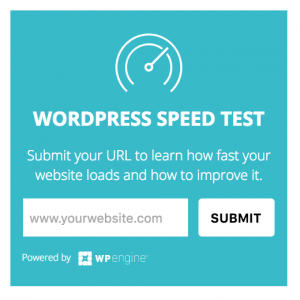 FREE WordPress Speed Test